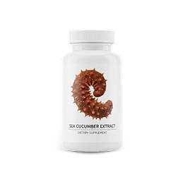 Typical Imported Sea Cucumber