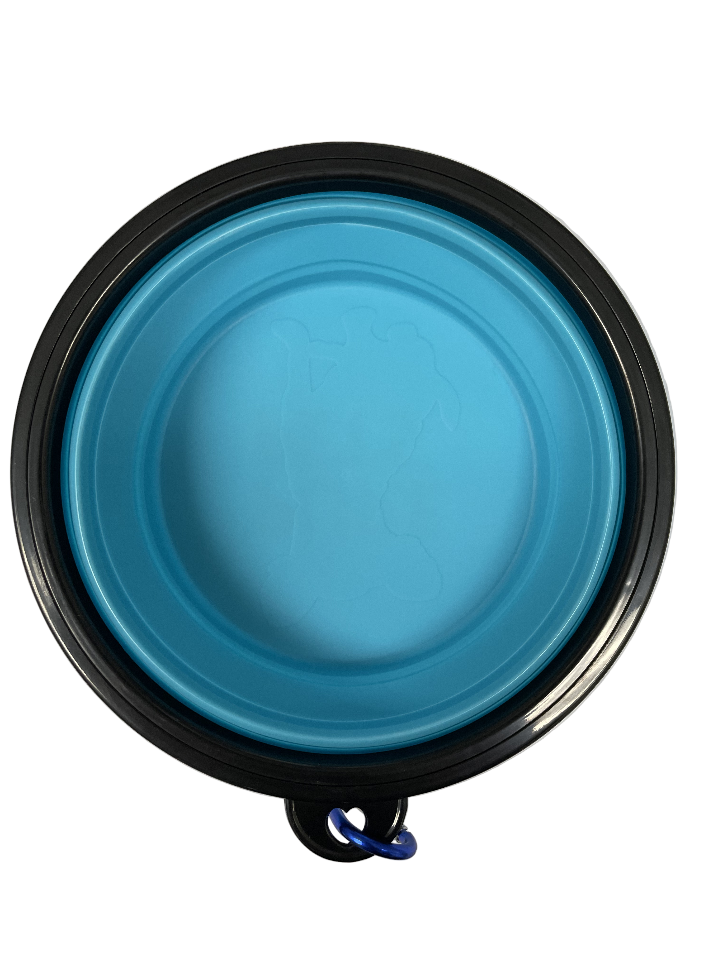 Blue collapsible pet travel bowl with black rim on white background