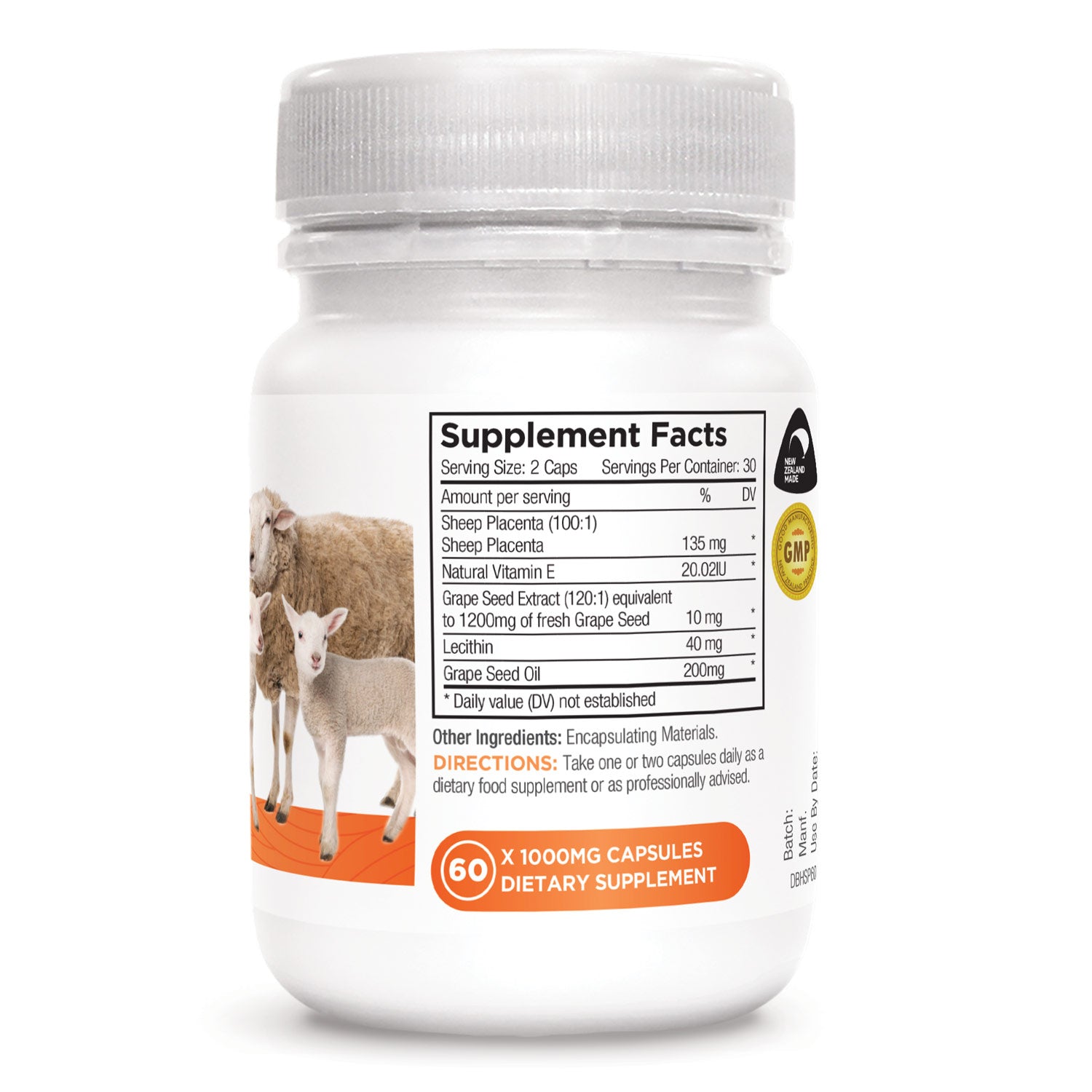 Sheep Placenta back-right