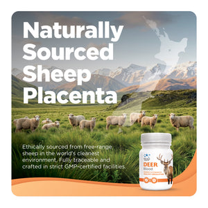 Sheep Placenta listing graphic — tile 05