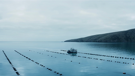 Pristine Ocean Farming