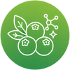 bilberry-icon-2-circle-v2.png