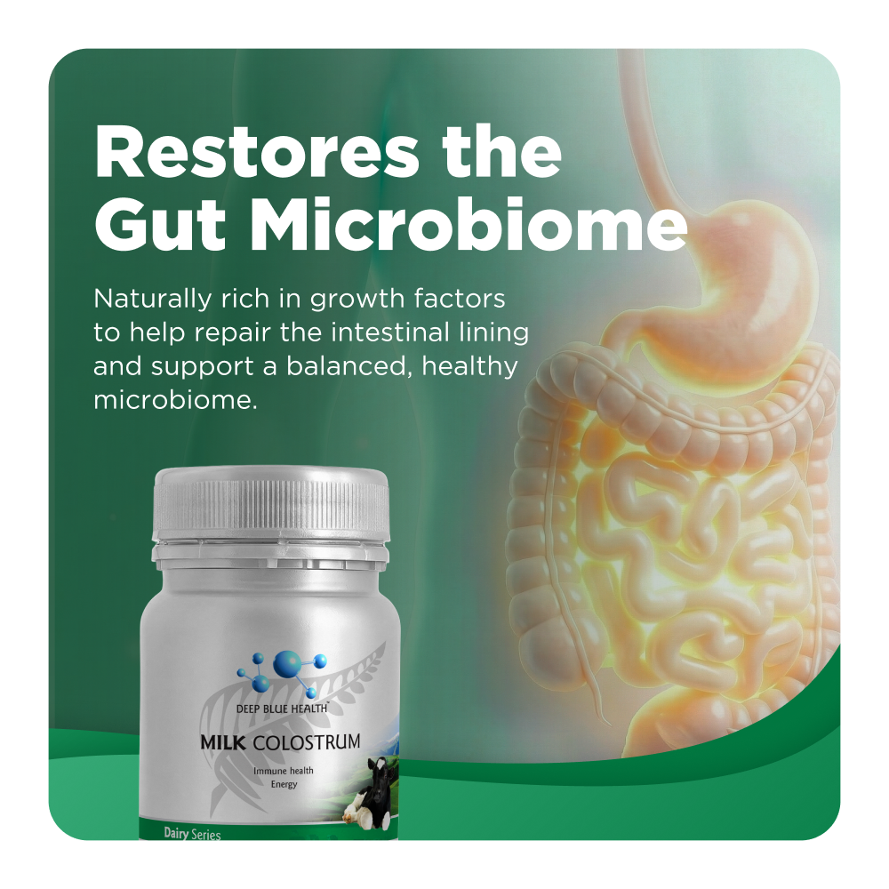 Restores the Gut Microbiome