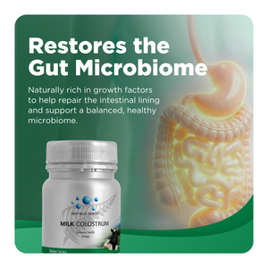 Restores the Gut Microbiome
