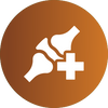 haem-iron-icon-arm-plus-v2.png