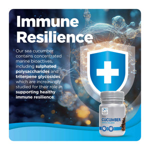 Sea Cucumber immune resilience product tile