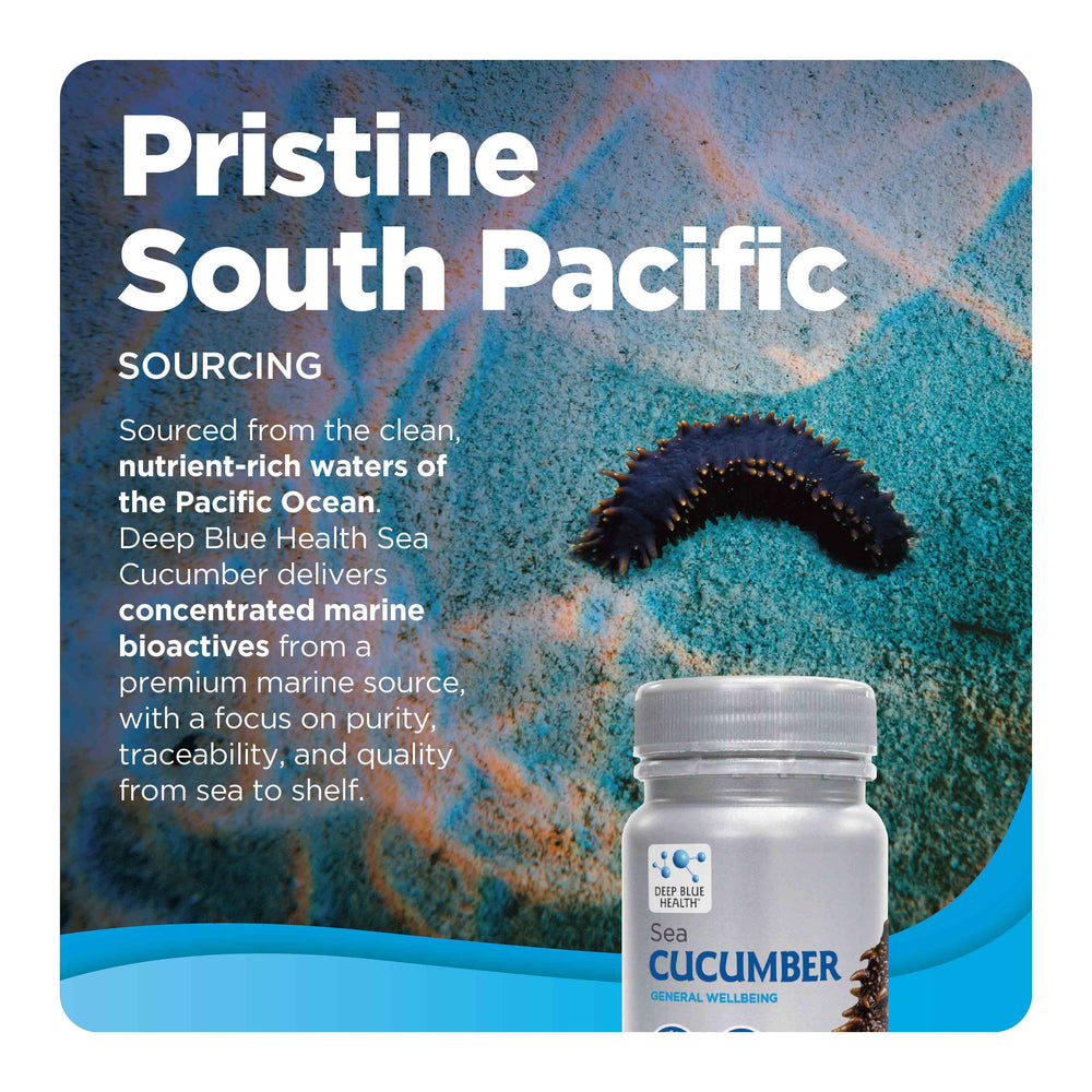 Sea Cucumber pristine Pacific Ocean sourcing tile