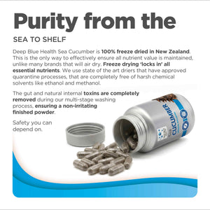 Sea Cucumber purity from sea to shelf product tile