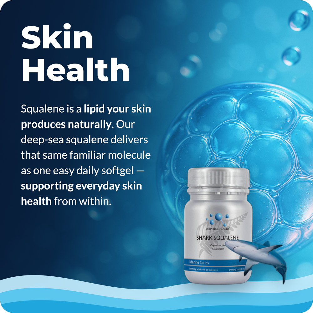 shark-squalene-tile-3