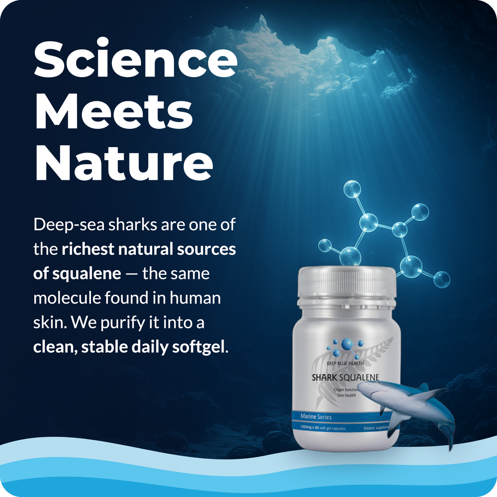 shark-squalene-tile-6