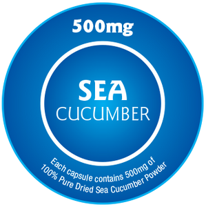 A blue circular label displays 500mg at the top and SEA CUCUMBER in the center. The bottom text states: Each capsule contains 500mg of 100% Pure Dried Sea Cucumber, rich in Chondroitin Sulphate and Triterpenoids.
